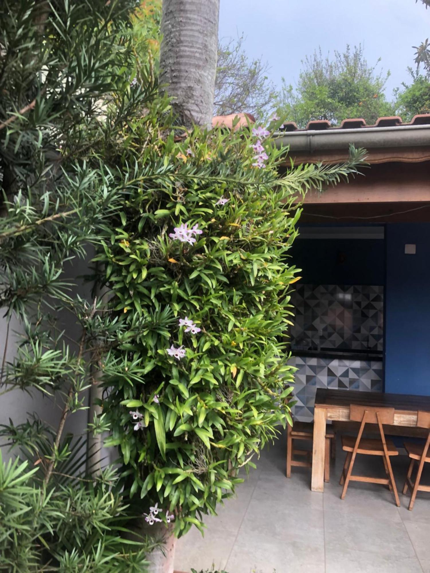 Hostel Martina, Suite 100M Spexpo 圣保罗 外观 照片