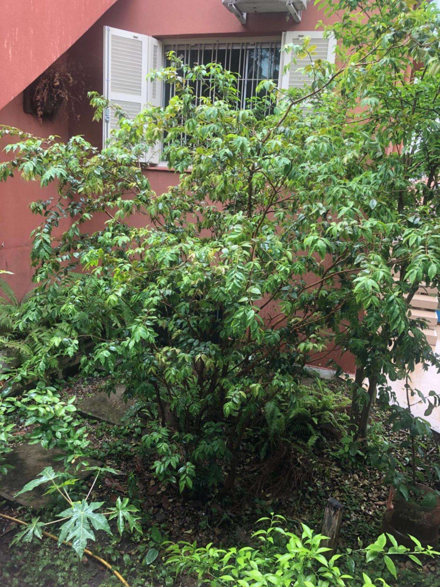 Hostel Martina, Suite 100M Spexpo 圣保罗 外观 照片